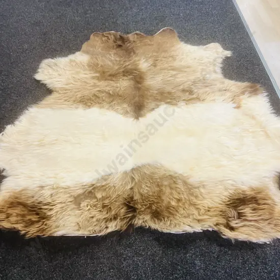 Unused Professionally Tanned 1800 x 1800 Dun Belted Galloway Hide