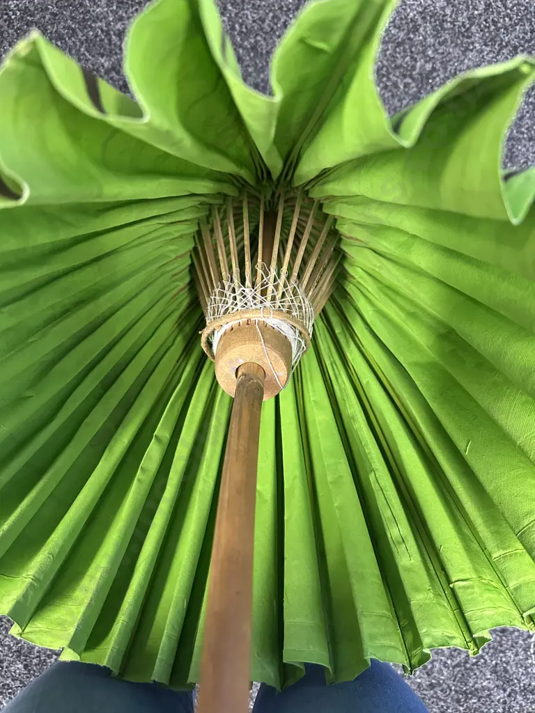 Decorative Oriental Themed Parasol Image 1++