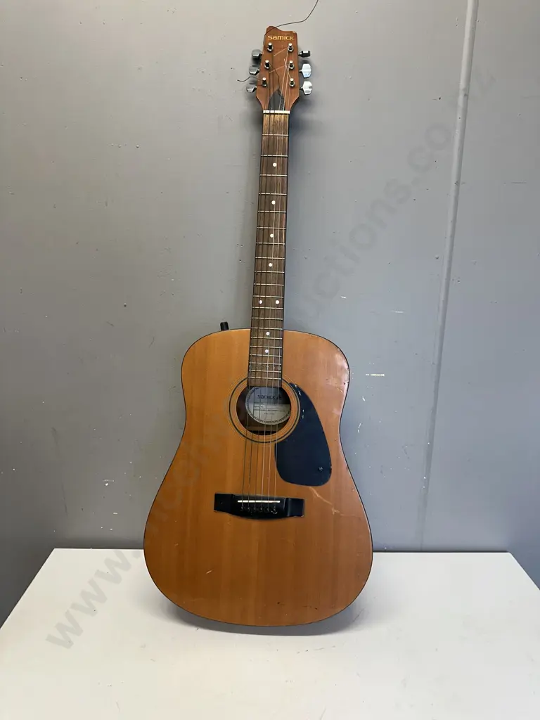 Samick Guitar Model SW115E Image 1++