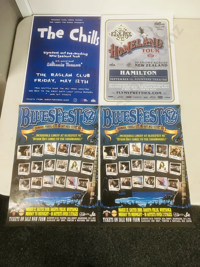 Vintage NZ Music Posters - The Chills Vigourous and Far-Reaching New Zealand at The Raglan Club Original Poster Image 1++