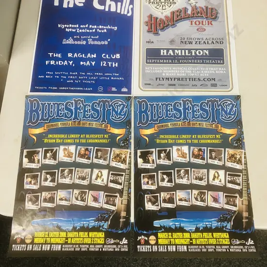 Vintage NZ Music Posters - The Chills Vigourous and Far-Reaching New Zealand at The Raglan Club Original Poster