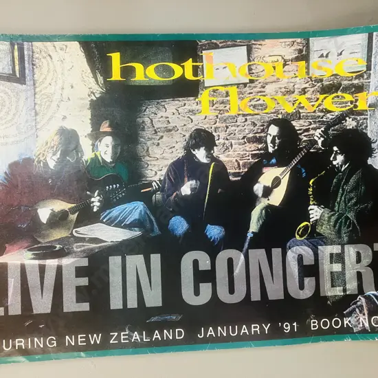 Hothouse Flowers January Original New Zealand Tour Gig Poster 1991