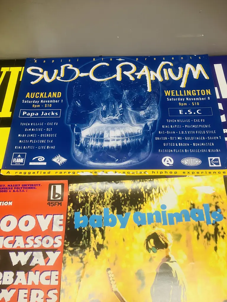 Vintage Music Posters - Spin Doctors, Baby Animals, Sub-Cranium Etc Image 1++