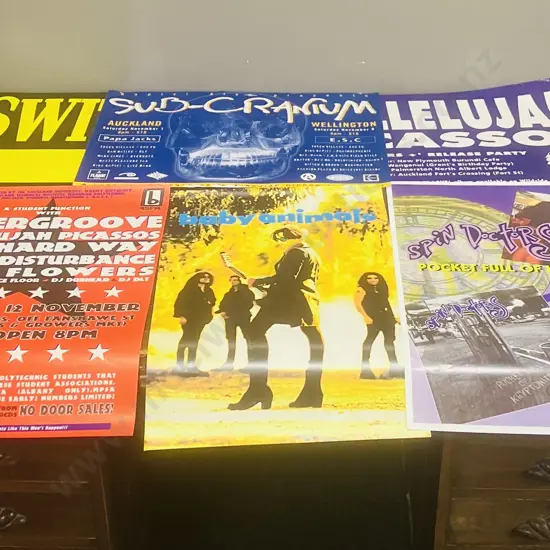 Vintage Music Posters - Spin Doctors, Baby Animals, Sub-Cranium Etc