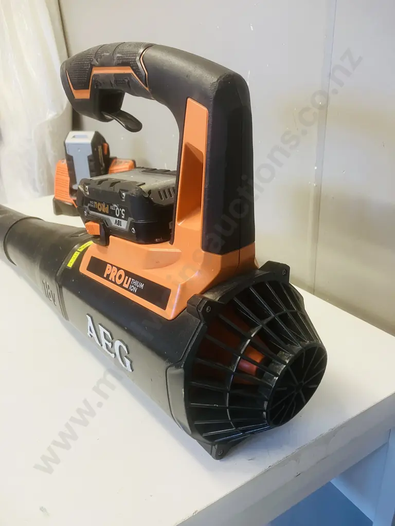 AEG 18V Cordless Blower ABL18B With Pair of 5.0Ah Batteries & BL1218 Charger Image 1++