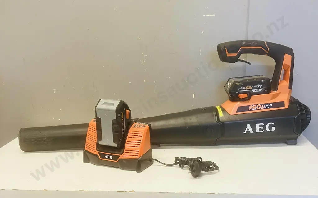 AEG 18V Cordless Blower ABL18B With Pair of 5.0Ah Batteries & BL1218 Charger Image 1++