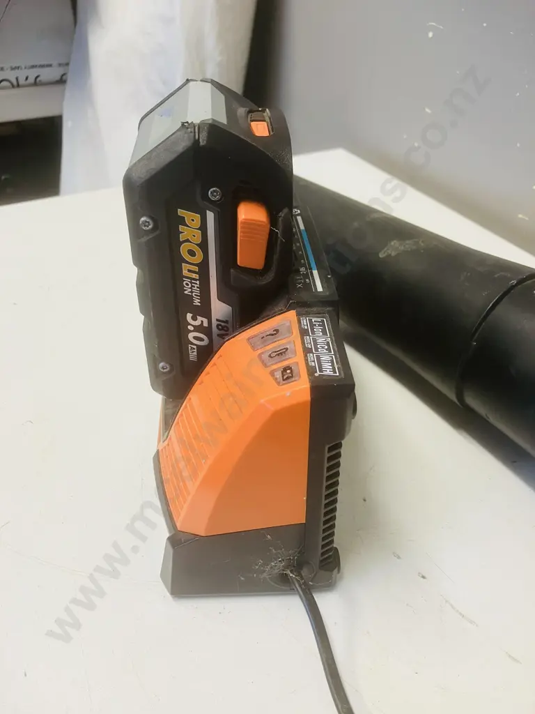 AEG 18V Cordless Blower ABL18B With Pair of 5.0Ah Batteries & BL1218 Charger Image 1++