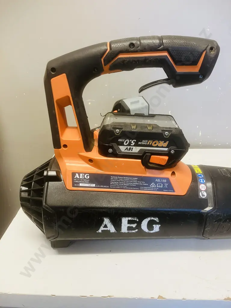 AEG 18V Cordless Blower ABL18B With Pair of 5.0Ah Batteries & BL1218 Charger Image 1++