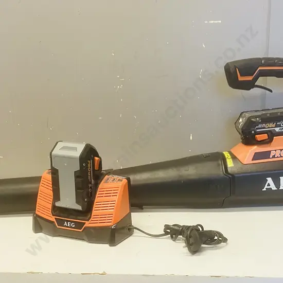 AEG 18V Cordless Blower ABL18B With Pair of 5.0Ah Batteries & BL1218 Charger