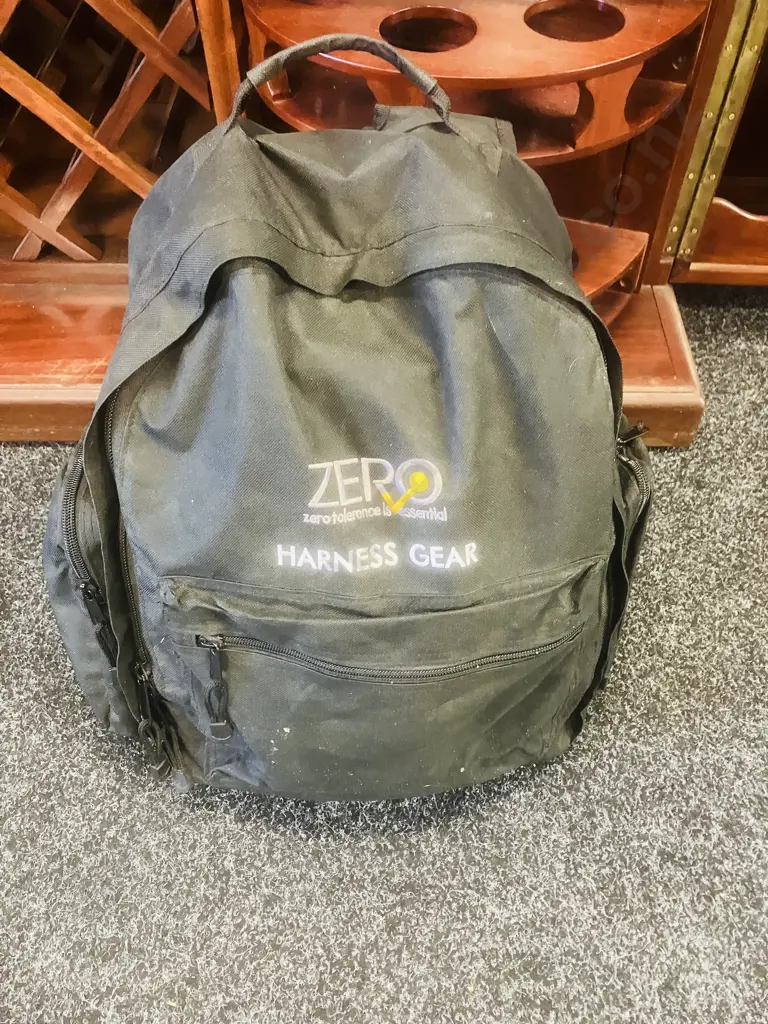 Adult Climbing Harness with two Climbing Ropes in Zero Harness Gear Bag (Used On Paint Job) Image 1++