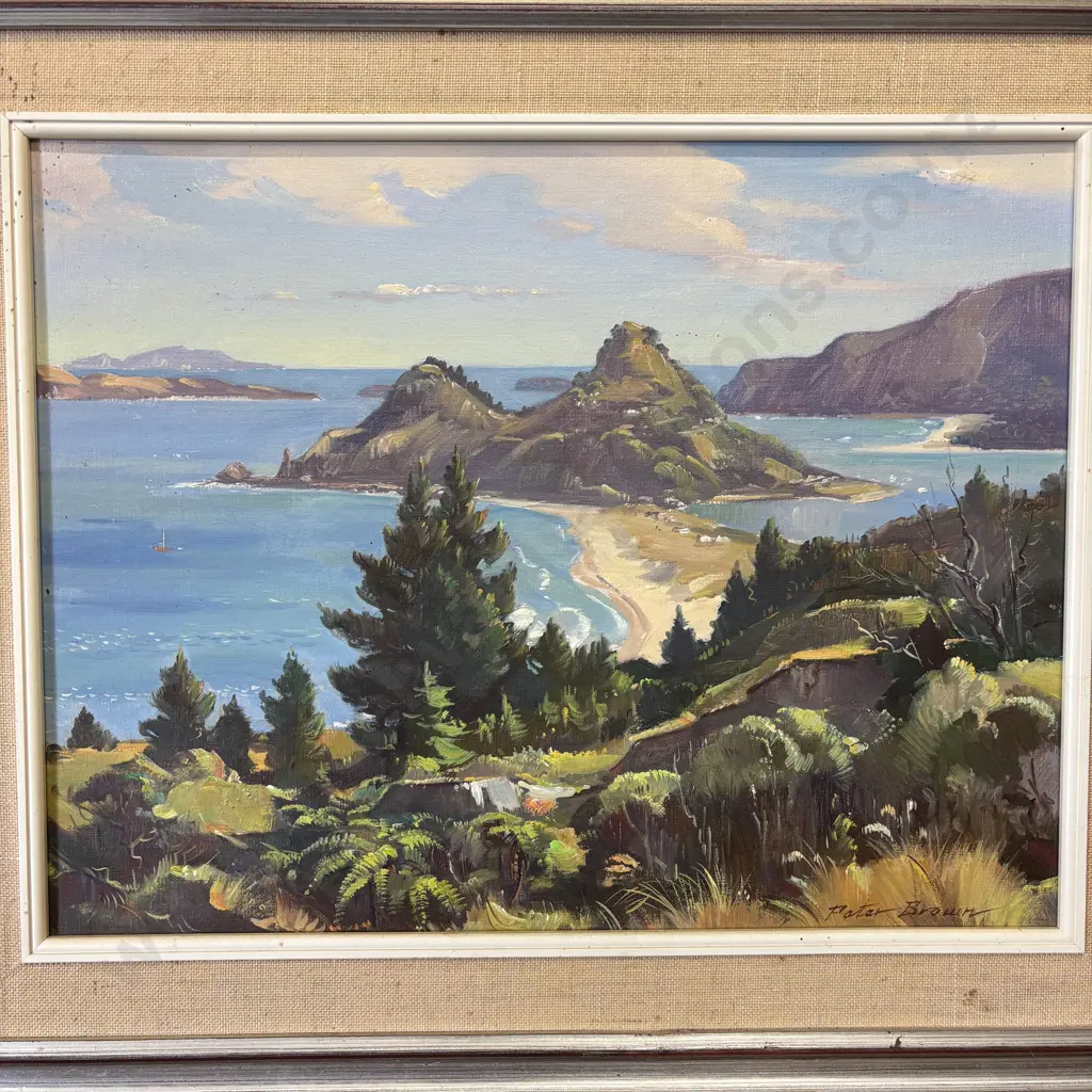 Signed Peter Brown Original Oil on Board titled "Tairua Headland and Pauanui" 63 x 53cm incl Frame Image 1++
