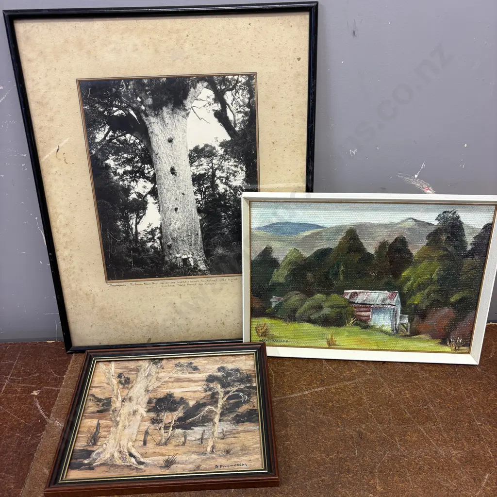 3 Artworks:Original Oil "Old Shed, Mangaria" signed. Bark landscape by D Patterson, Kauri Photo Image 1++