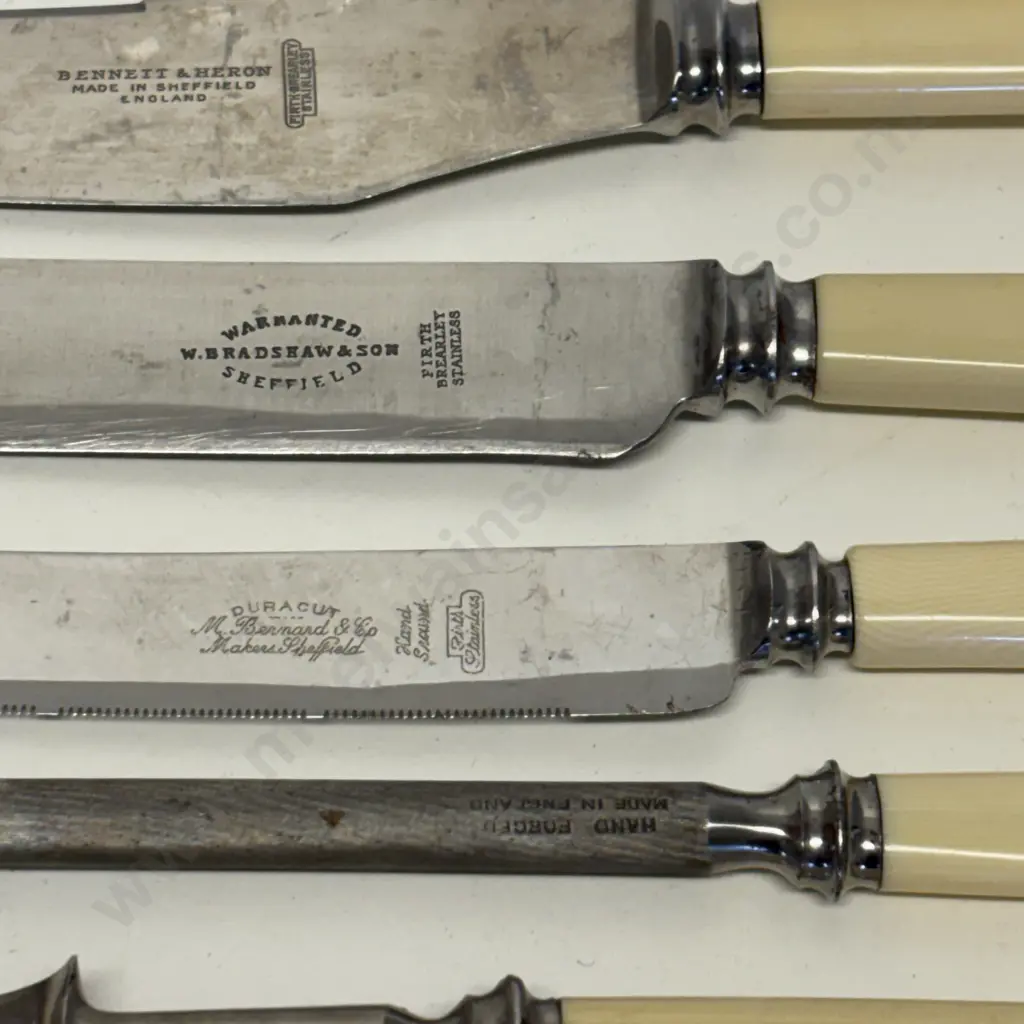 Vintage Assortment of Knives and Carving Utensils with Bone? handles Image 1++