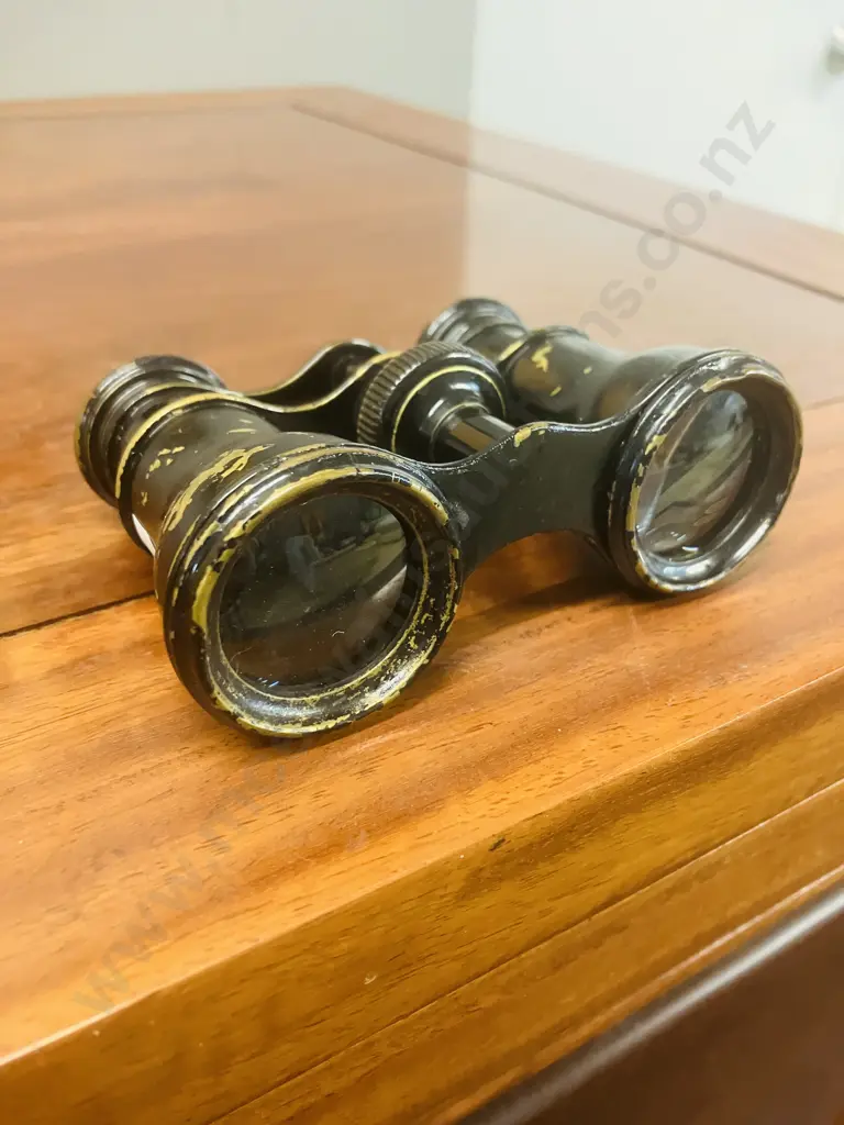 Le Maire Fabt Paris French Opera Glasses Image 1++
