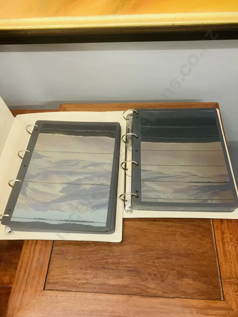 Hagner-System Deluxe Stamp Albums x 3 With Pair of A4 Ring Binders With Stamp Sleeves Image 1++