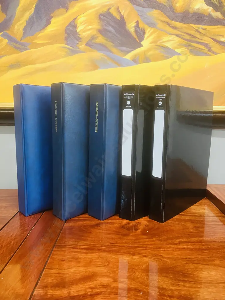 Hagner-System Deluxe Stamp Albums x 3 With Pair of A4 Ring Binders With Stamp Sleeves Image 1++