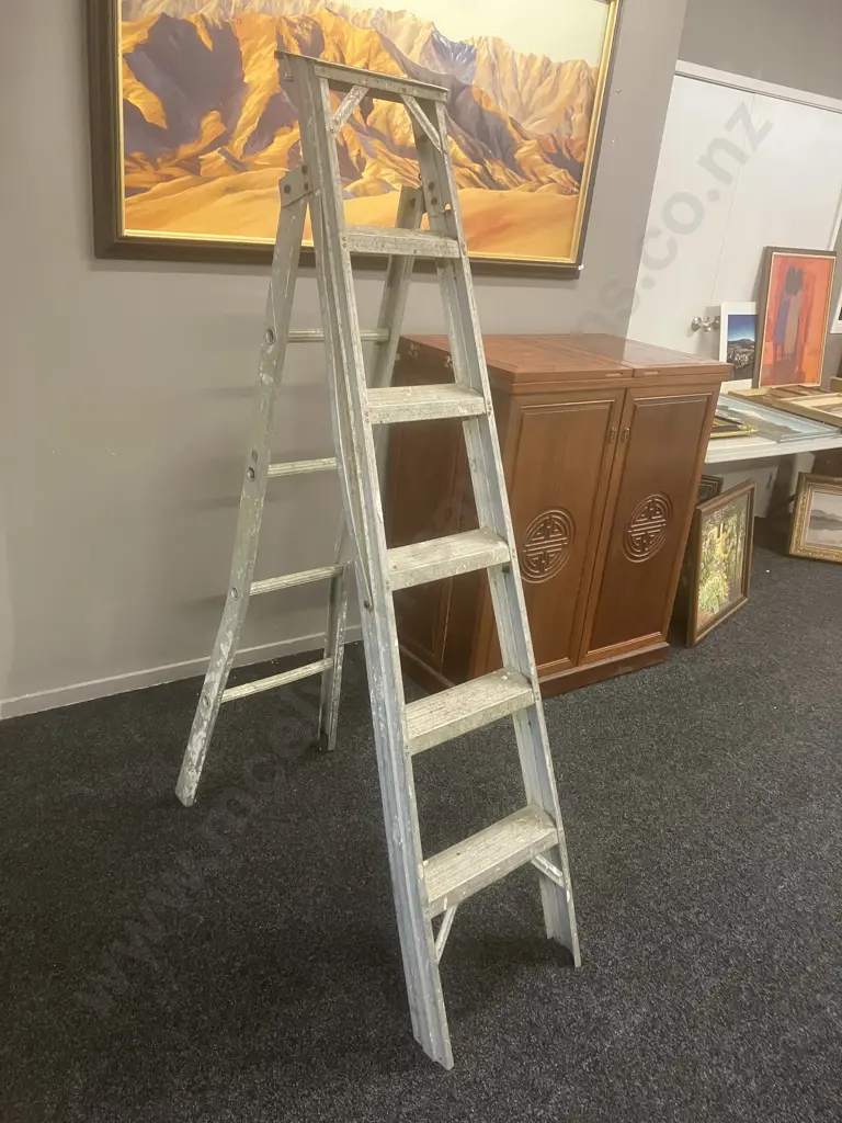 Aluminum Step / Extension Ladder - 5 Step 180cm Image 1++