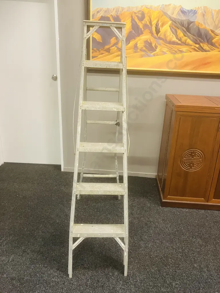 Aluminum Step / Extension Ladder - 5 Step 180cm Image 1++