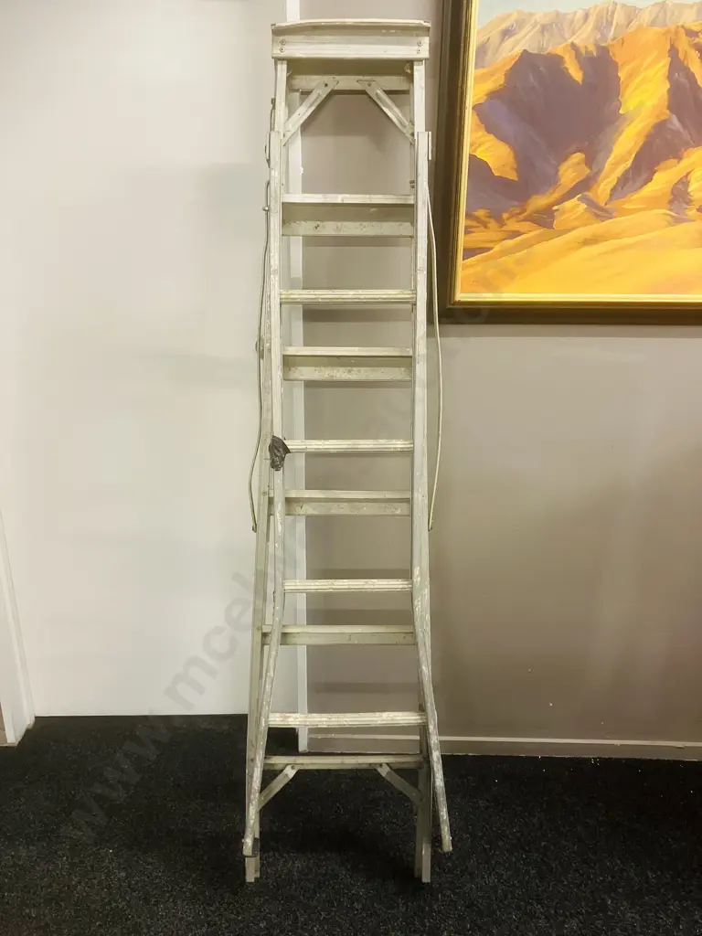 Aluminum Step / Extension Ladder - 5 Step 180cm Image 1++