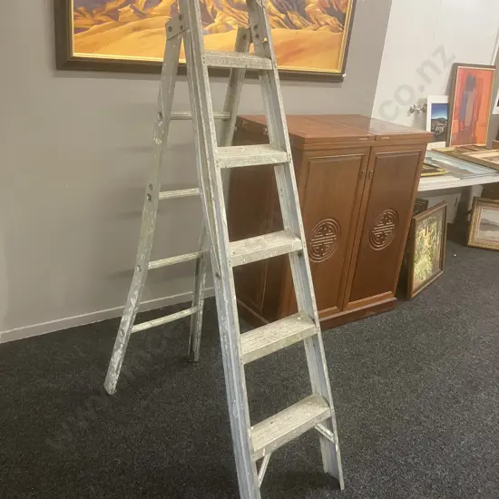 Aluminum Step / Extension Ladder - 5 Step 180cm