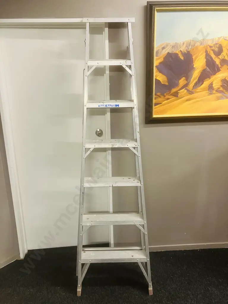 Walker Trade-Master Aluminum Stepladder - 6 Step 204cm Image 1++