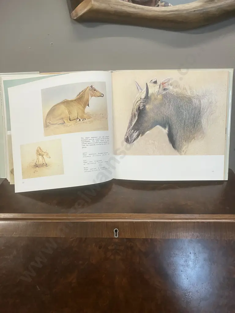 Wild Portraits - Paintings & Drawings by Raymond Harris-Ching.1988 First Edition Hard Cover With Dust Jacket Image 1++