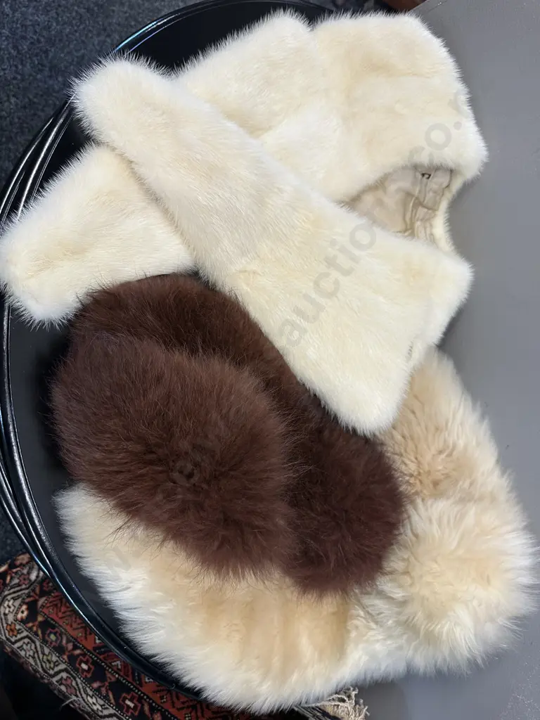 Selection Of Vintage Fur Collars Image 1++