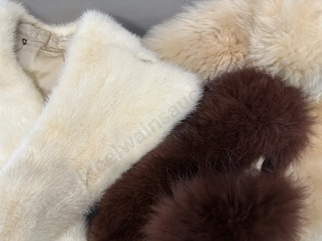 Selection Of Vintage Fur Collars Image 1++