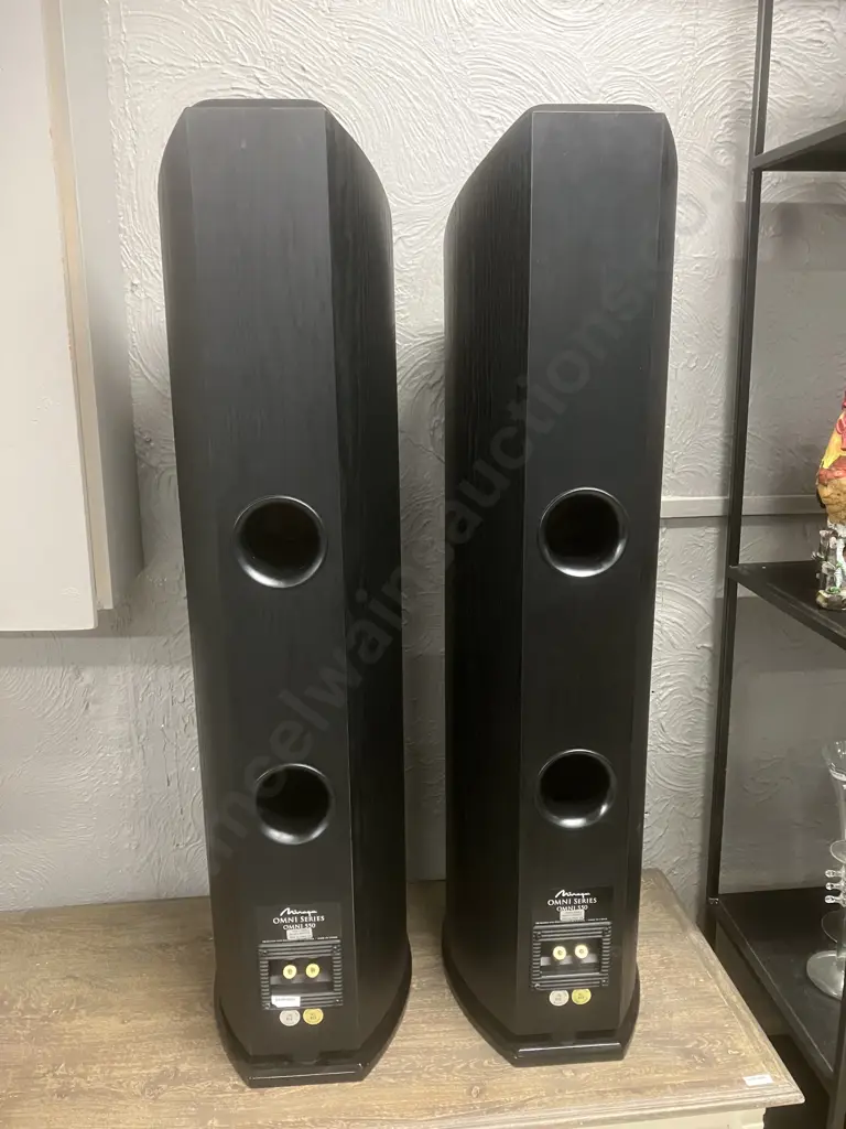 Pair of Mirage OMNI 550 Floorstanding Tower Speakers. Omnidirectional, 8-ohm, Sensitivity 90 dB, Handles Up To 200 Watts Image 1++