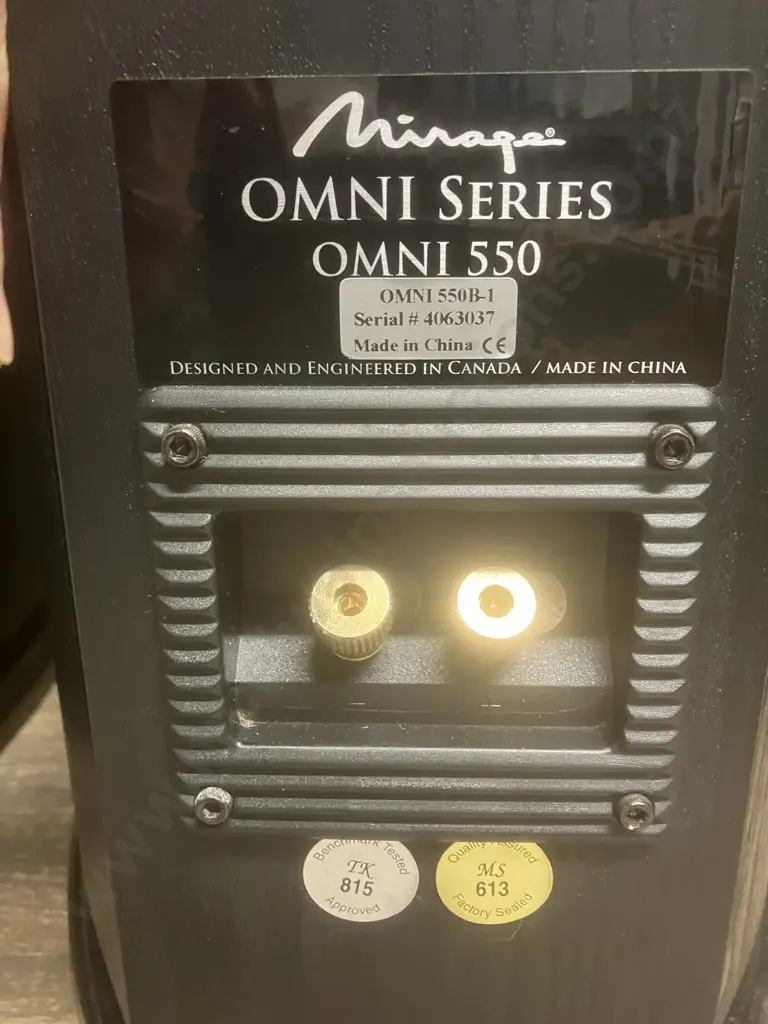 Pair of Mirage OMNI 550 Floorstanding Tower Speakers. Omnidirectional, 8-ohm, Sensitivity 90 dB, Handles Up To 200 Watts Image 1++