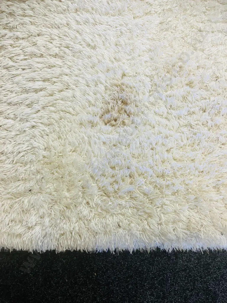 FLOKATI Turkish Rug, 160 x 220 White Image 1++