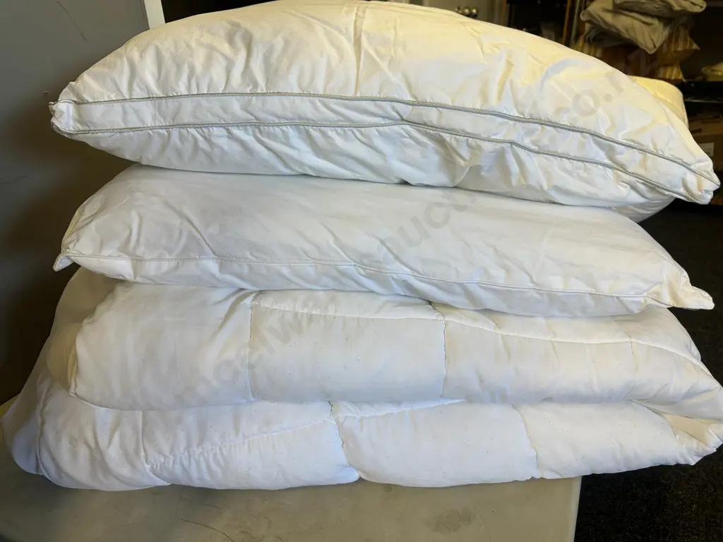 Queen Size Mattress Topper With 2 x Pillows Image 1++