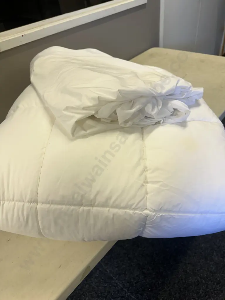 Queen Size Mattress Topper & Protector Image 1++