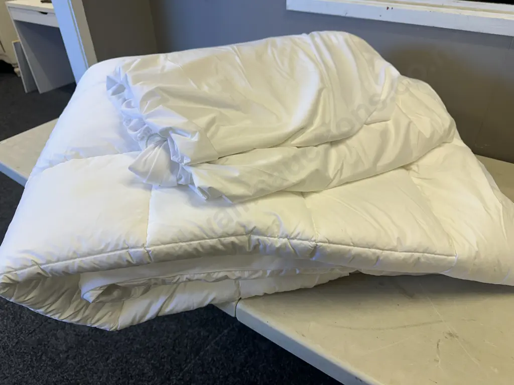 Queen Size Mattress Topper & Protector Image 1++