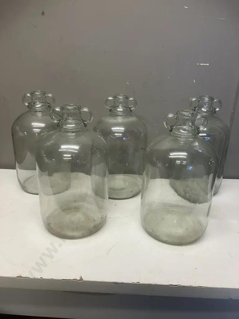 Lot of Five Clear Glass Demijohns, Double Handle Image 1++