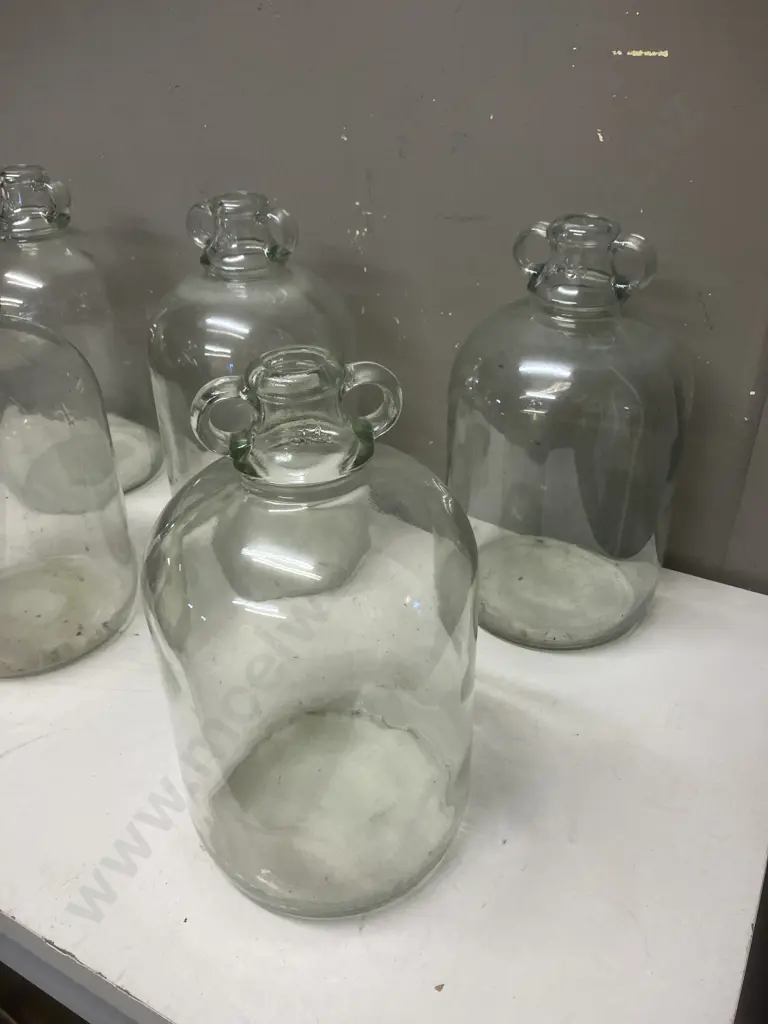 Lot of Five Clear Glass Demijohns, Double Handle Image 1++