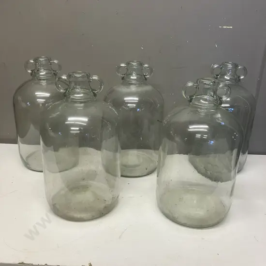 Lot of Five Clear Glass Demijohns, Double Handle