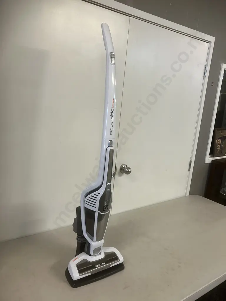 Electrolux Ergorapido 14.4V Cordless Vacuum Cleaner - ZB3104 Image 1++