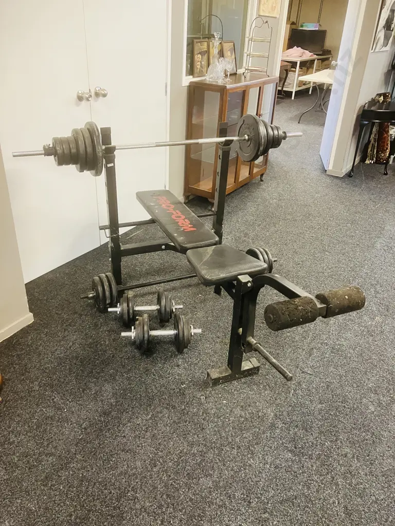 ProForm Weight Lifting Bench, Free Weights, Barbells & Dumbbell Handles Image 1++