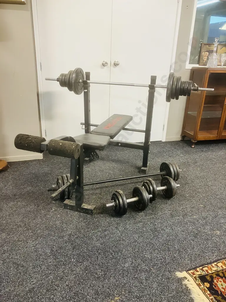 ProForm Weight Lifting Bench, Free Weights, Barbells & Dumbbell Handles Image 1++