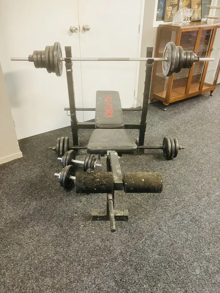 ProForm Weight Lifting Bench, Free Weights, Barbells & Dumbbell Handles Image 1++