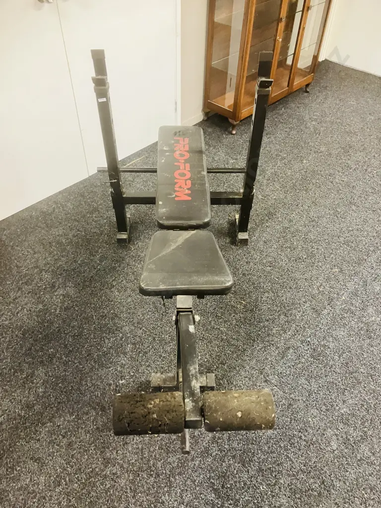 ProForm Weight Lifting Bench, Free Weights, Barbells & Dumbbell Handles Image 1++