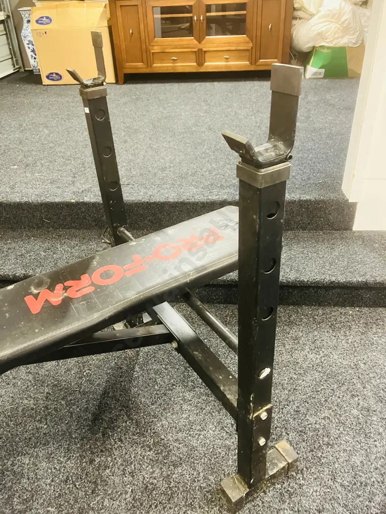 ProForm Weight Lifting Bench, Free Weights, Barbells & Dumbbell Handles Image 1++
