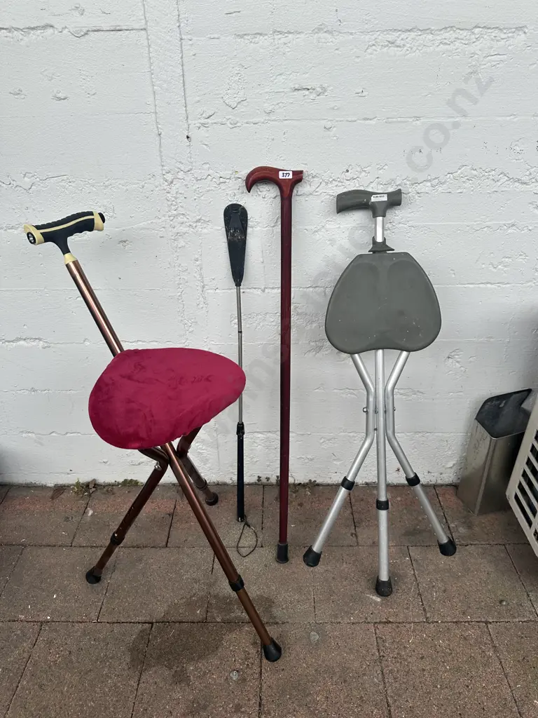 Three Walking Sticks - two with seats with Shoe horn Image 1++