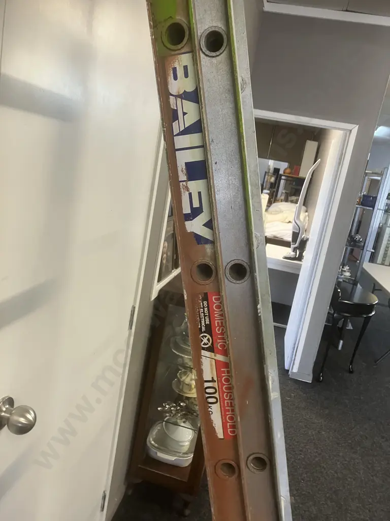 Bailey Domestic Extension Ladder - 100Kg Image 1++