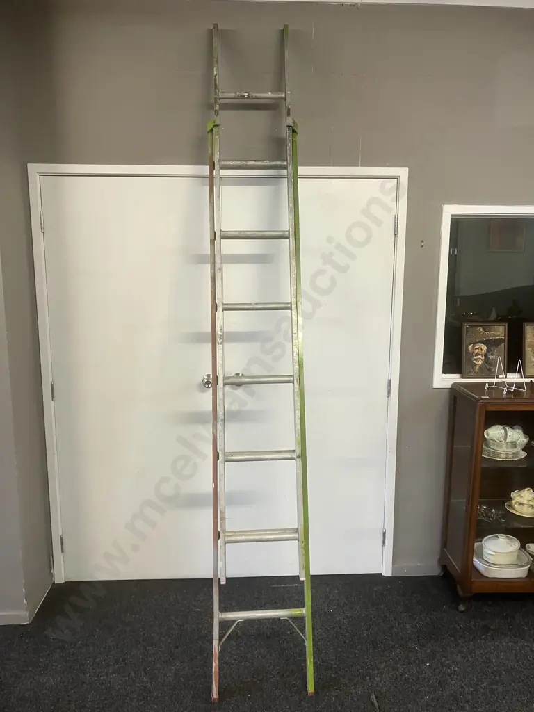 Bailey Domestic Extension Ladder - 100Kg Image 1++