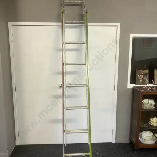 Bailey Domestic Extension Ladder - 100Kg