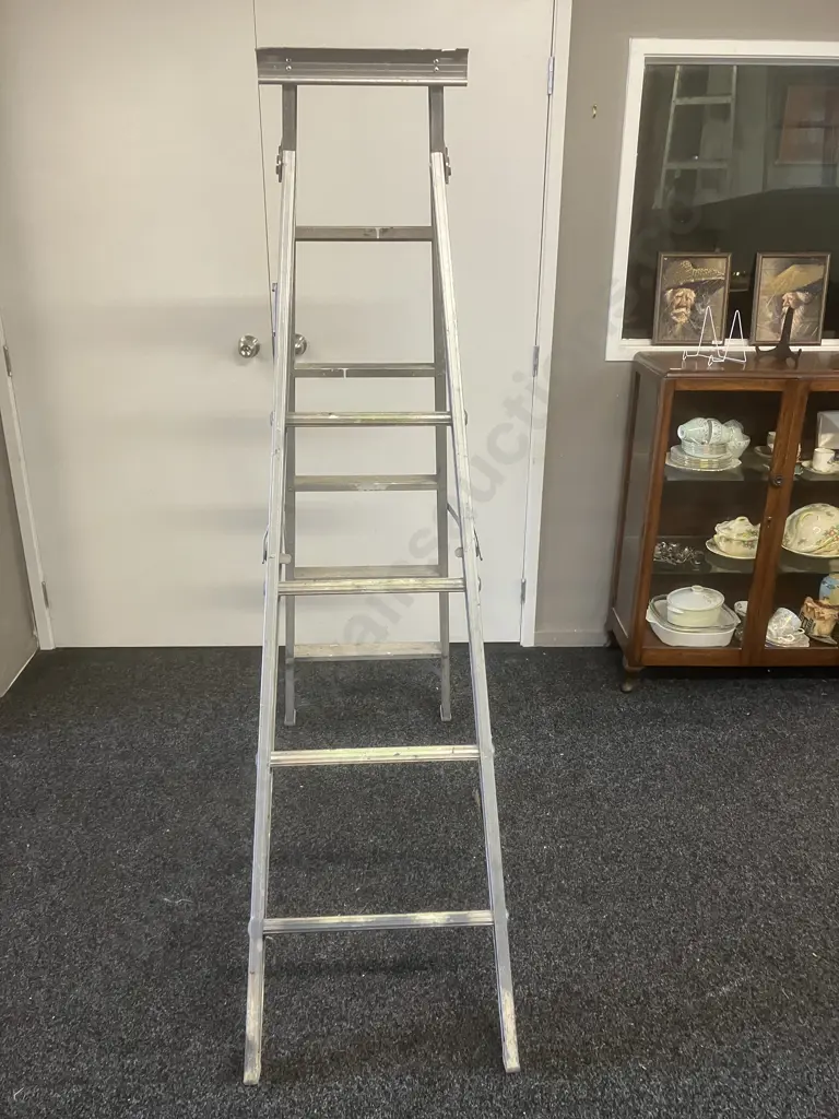 Aluminium Ladder - 5 Step, 186cm Image 1++