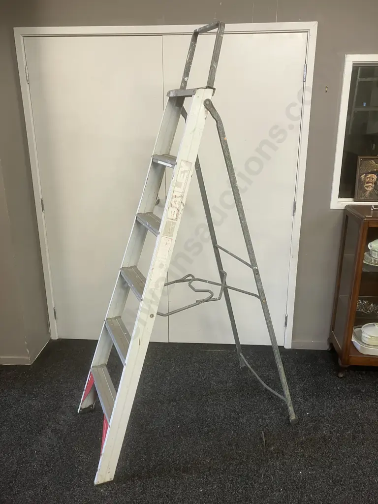 Bailey Domestic Ladder - 100Kg, 202cm Image 1++