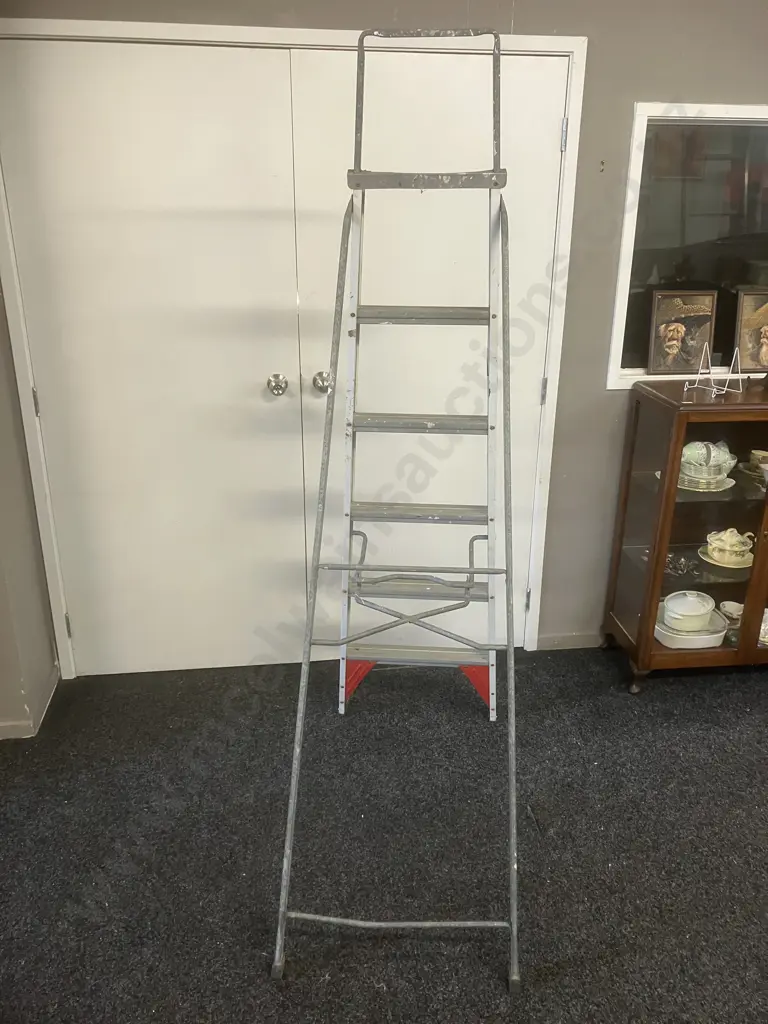 Bailey Domestic Ladder - 100Kg, 202cm Image 1++